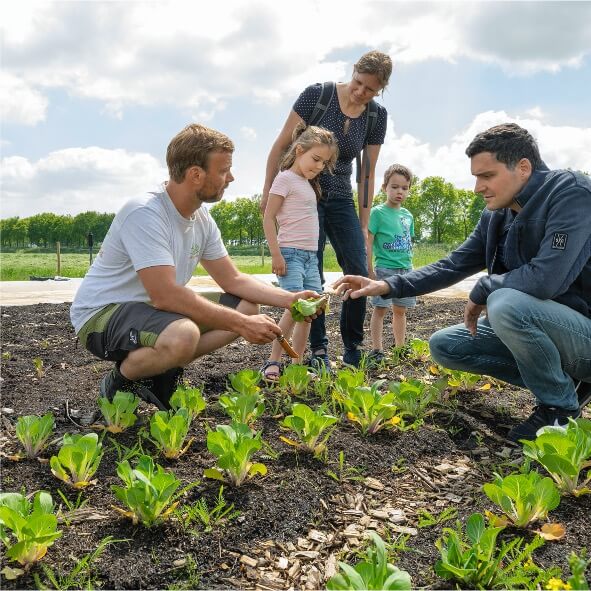 Zelf-oogst-Gelukkige-Groentes